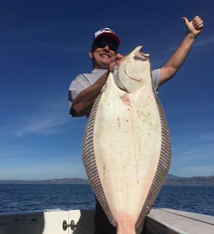 Nicely reeled Halibut in California waters!